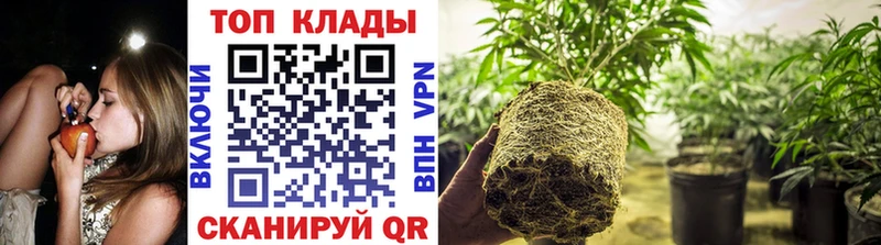 Где купить наркоту Новосиль Конопля  АМФЕТАМИН  Меф 