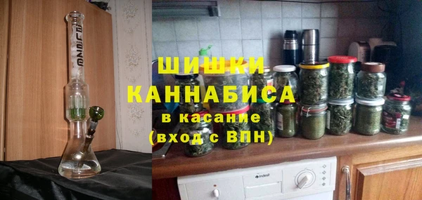 первитин Дмитриев