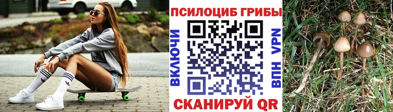Галлюциногенные грибы ЛСД Новосиль
